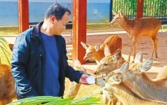  每年实现的旅逛收